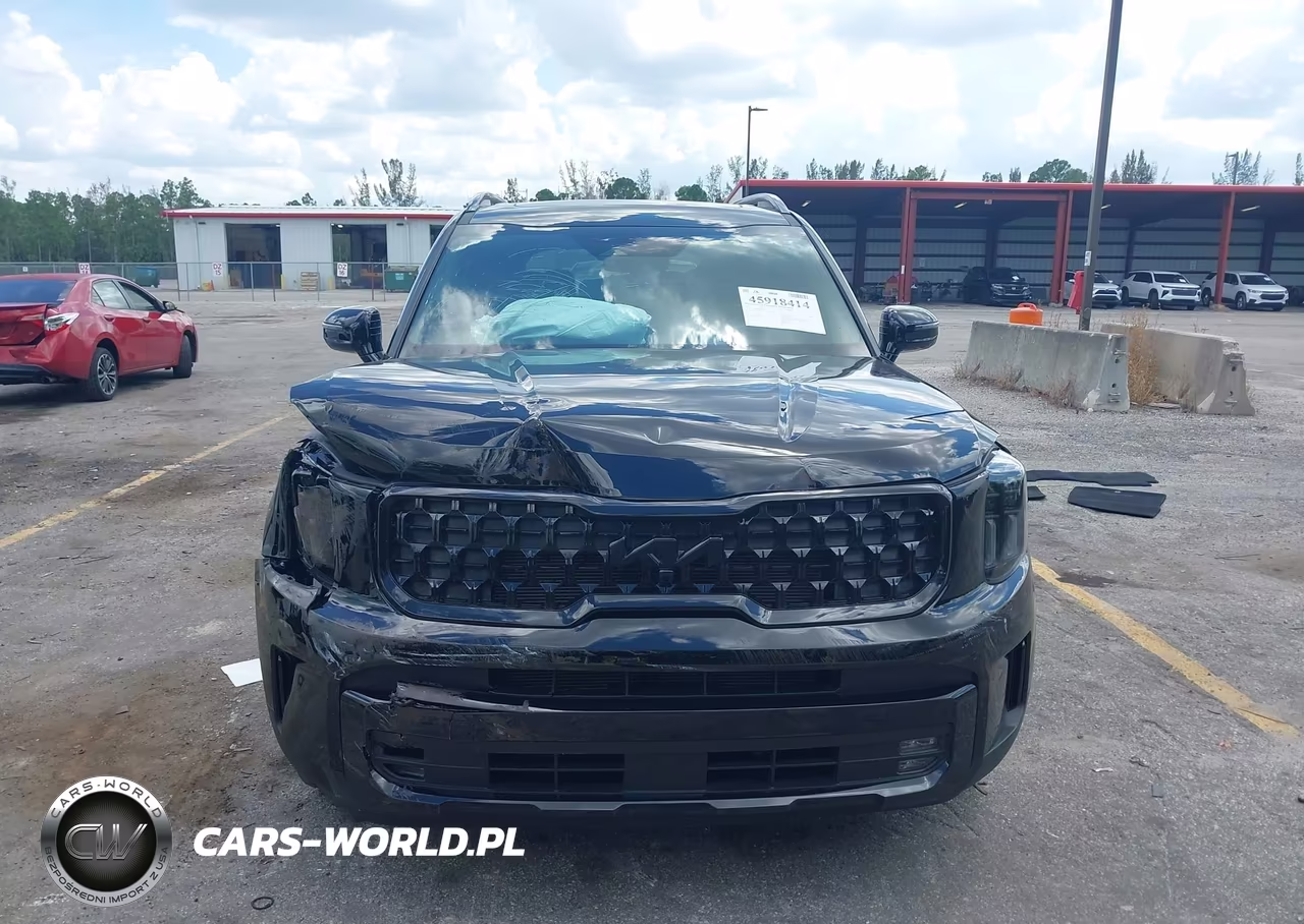 2025 Kia Telluride Sx Prestige X-Line VIN:5XYP5DGC6SG688414 - 12