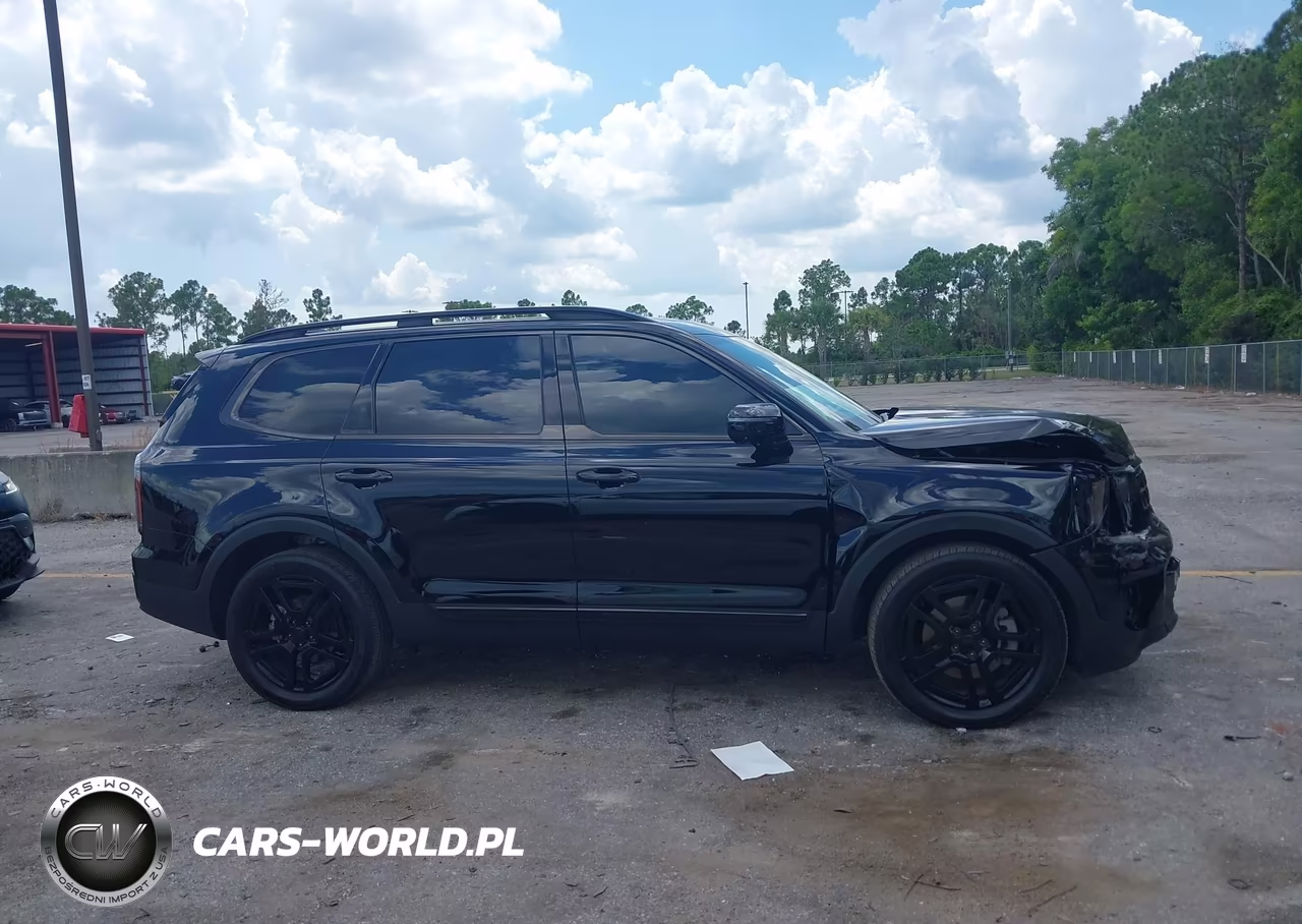 2025 Kia Telluride Sx Prestige X-Line VIN:5XYP5DGC6SG688414 - 13