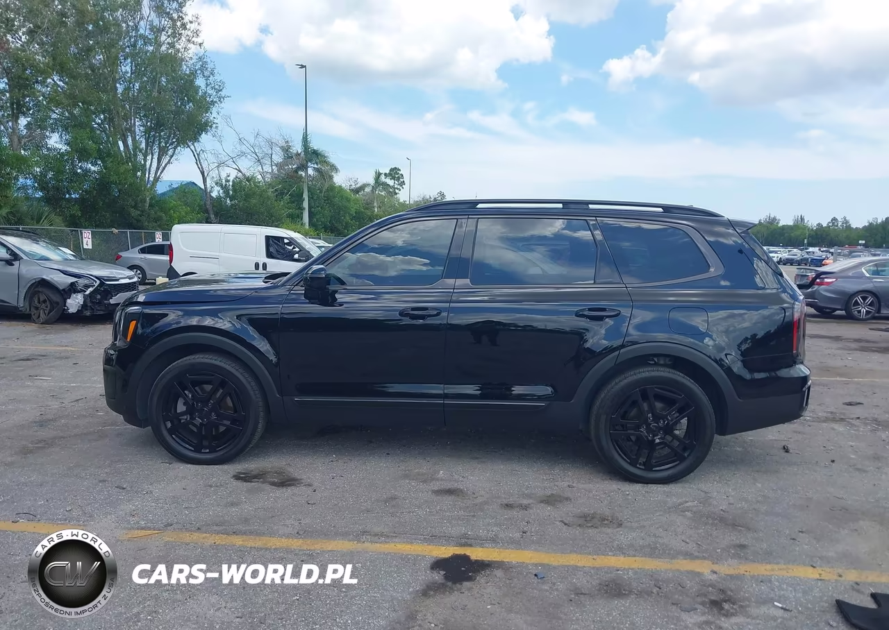 2025 Kia Telluride Sx Prestige X-Line VIN:5XYP5DGC6SG688414 - 14