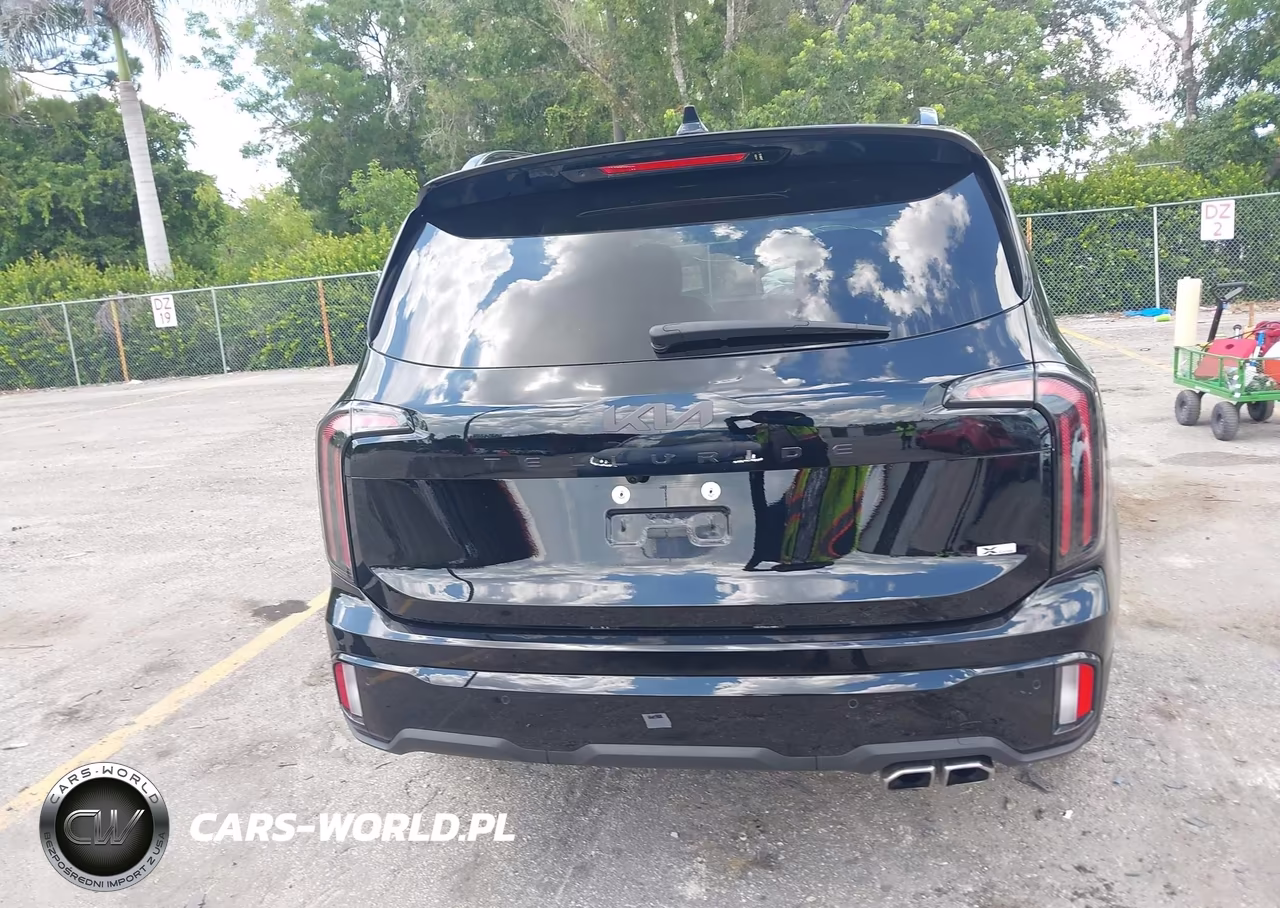 2025 Kia Telluride Sx Prestige X-Line VIN:5XYP5DGC6SG688414 - 16
