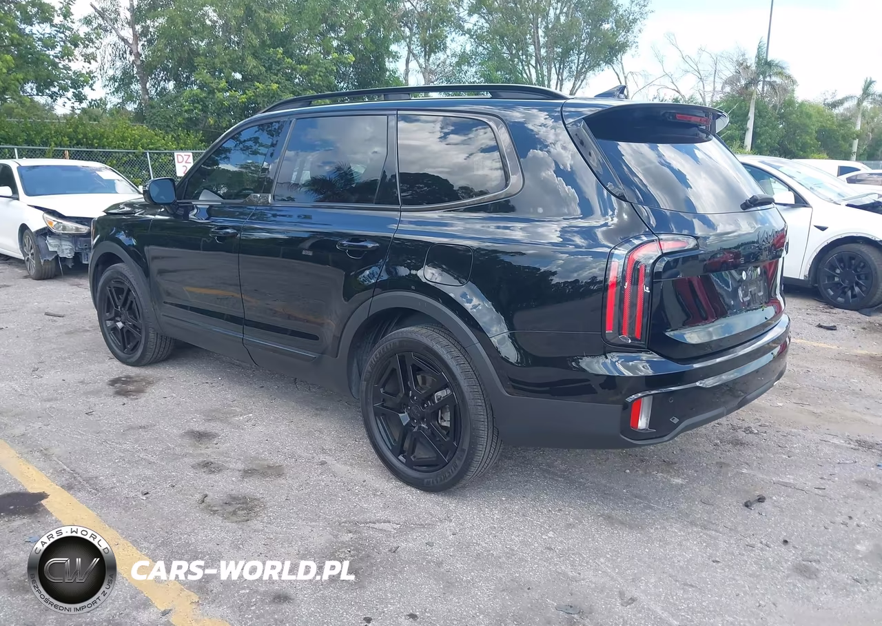 2025 Kia Telluride Sx Prestige X-Line VIN:5XYP5DGC6SG688414 - 3