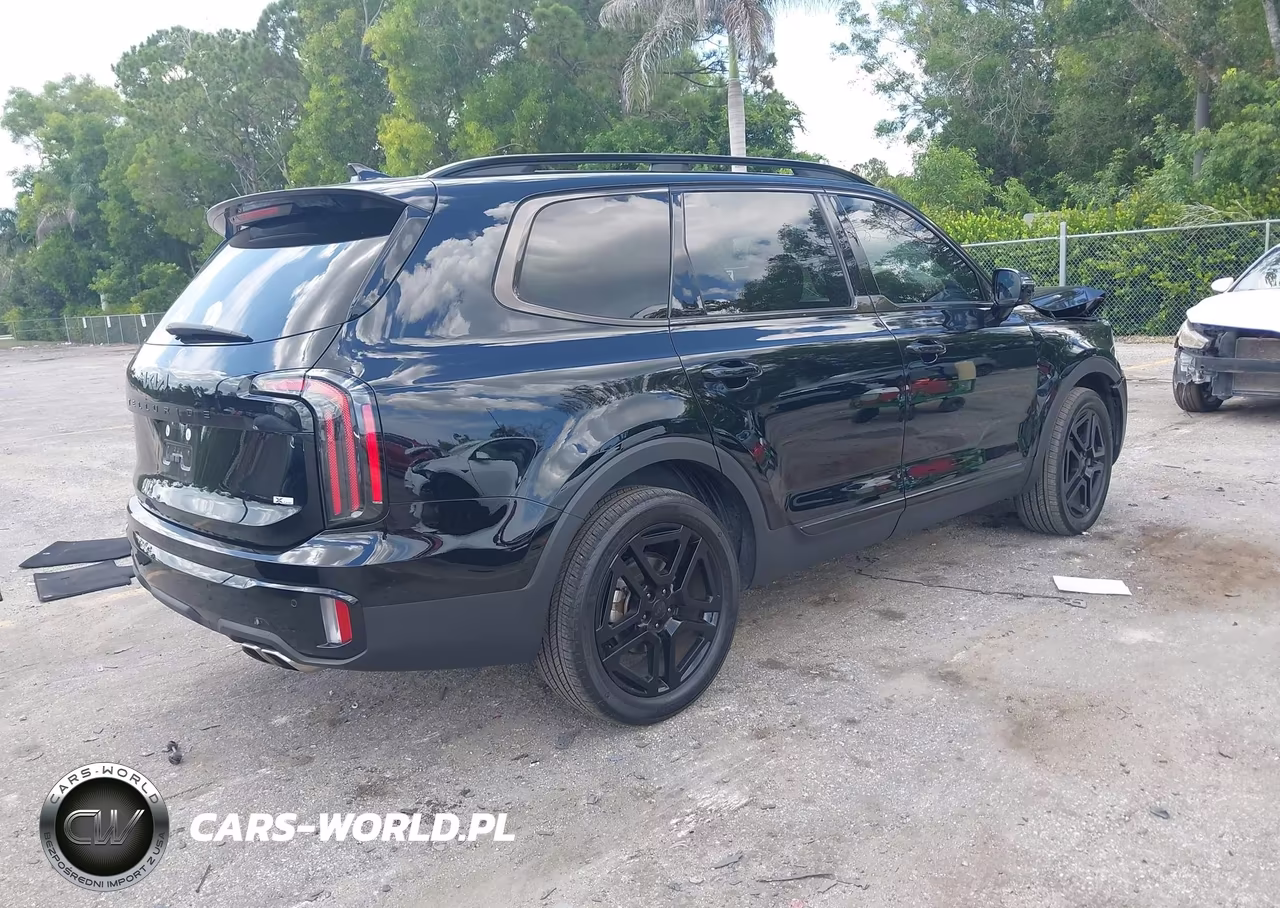 2025 Kia Telluride Sx Prestige X-Line VIN:5XYP5DGC6SG688414 - 4