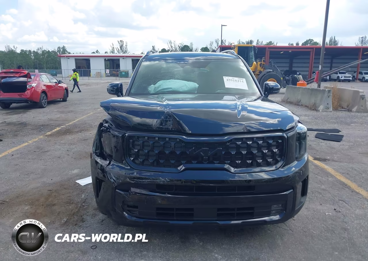 2025 Kia Telluride Sx Prestige X-Line VIN:5XYP5DGC6SG688414 - 6