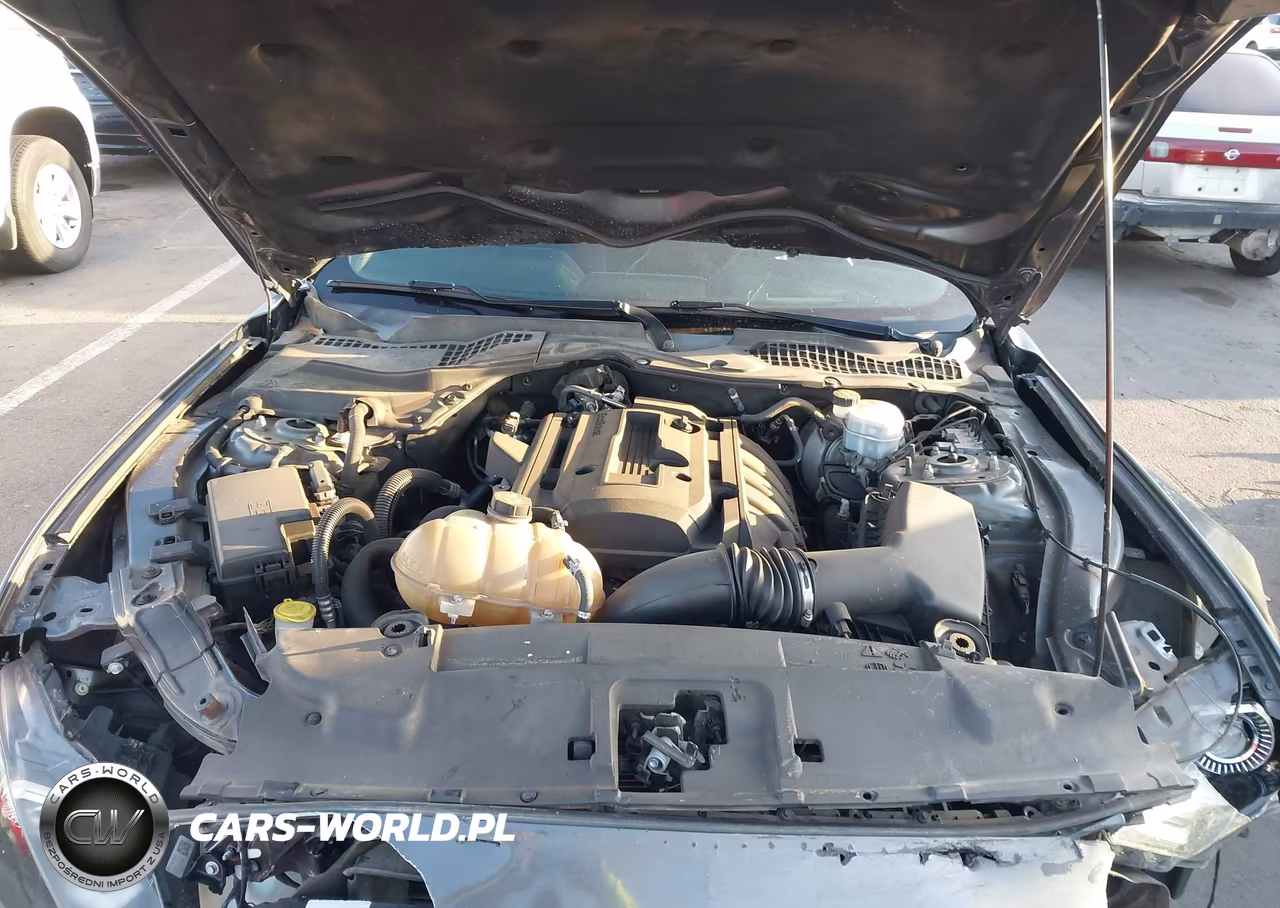 2019 Ford Mustang Ecoboost Premium VIN:1FA6P8TH5K5169383 - 10