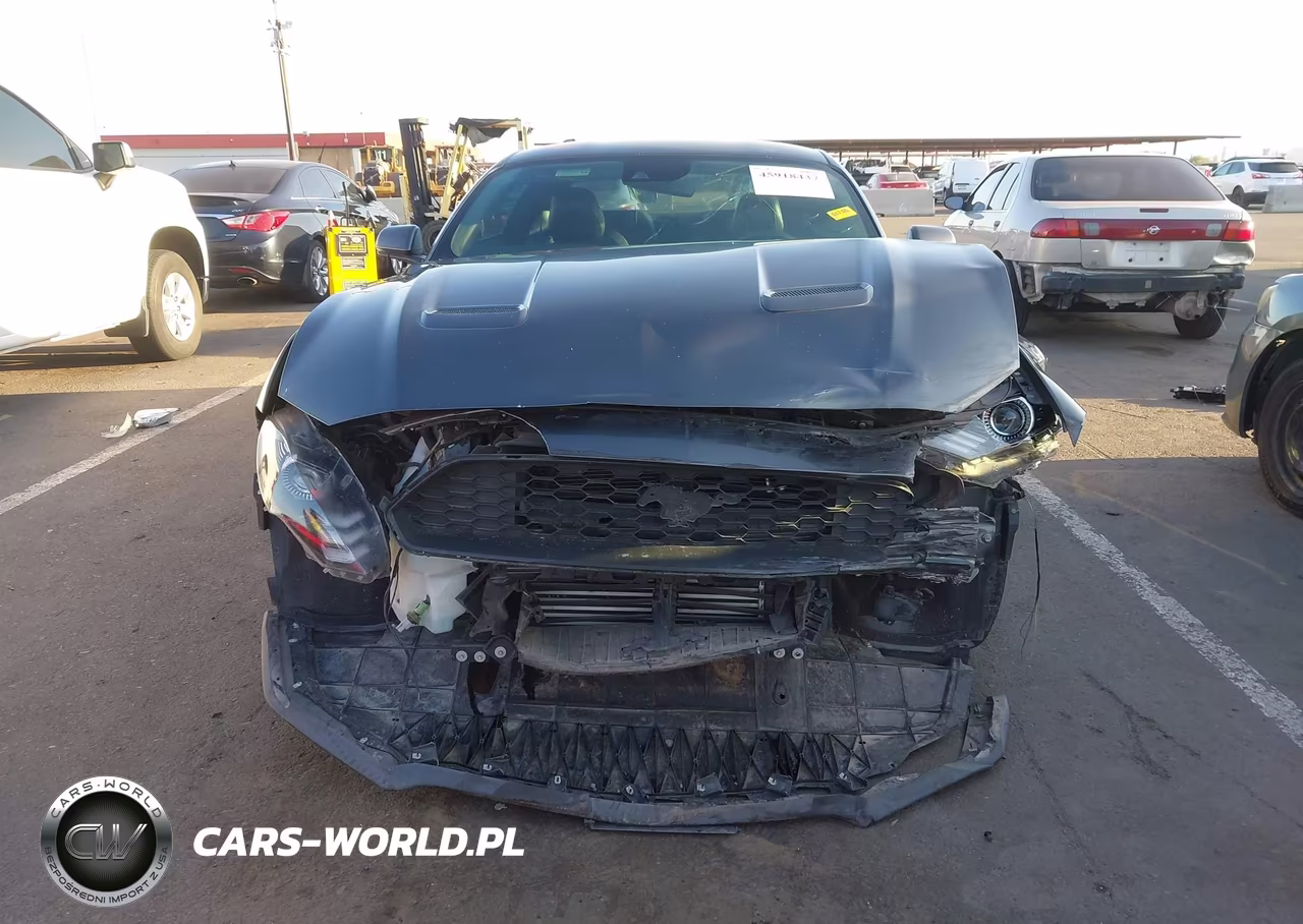 2019 Ford Mustang Ecoboost Premium VIN:1FA6P8TH5K5169383 - 13