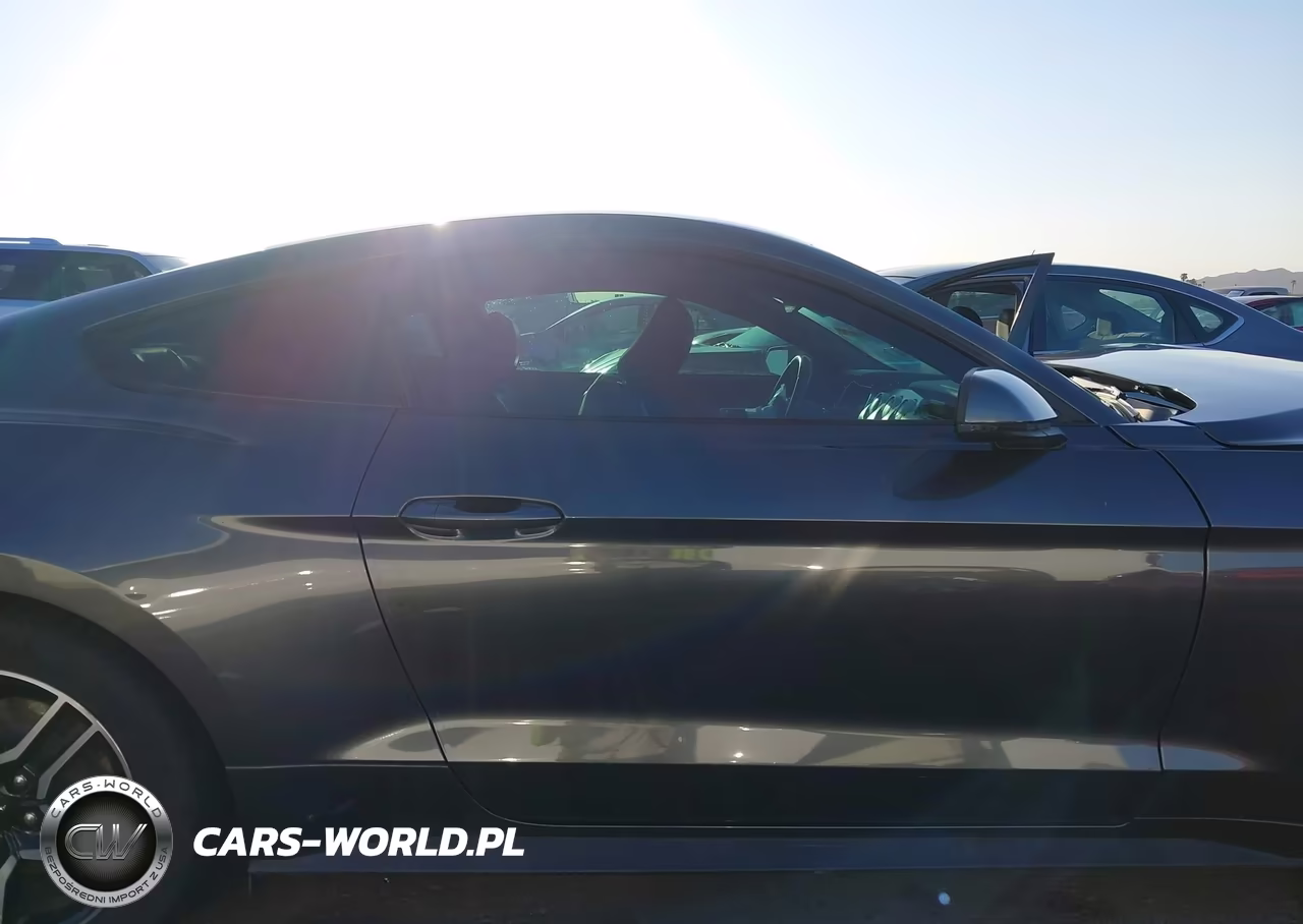 2019 Ford Mustang Ecoboost Premium VIN:1FA6P8TH5K5169383 - 14
