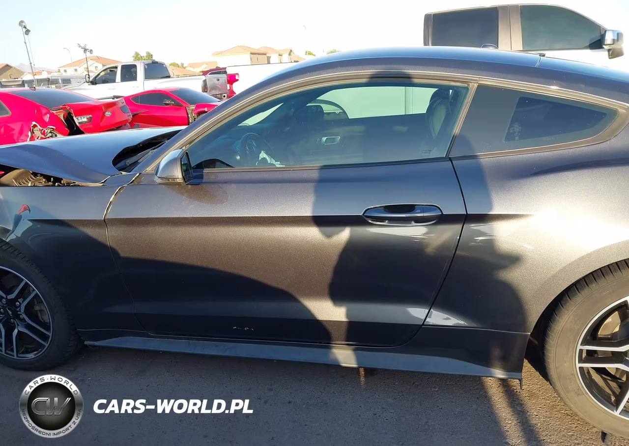 2019 Ford Mustang Ecoboost Premium VIN:1FA6P8TH5K5169383 - 15