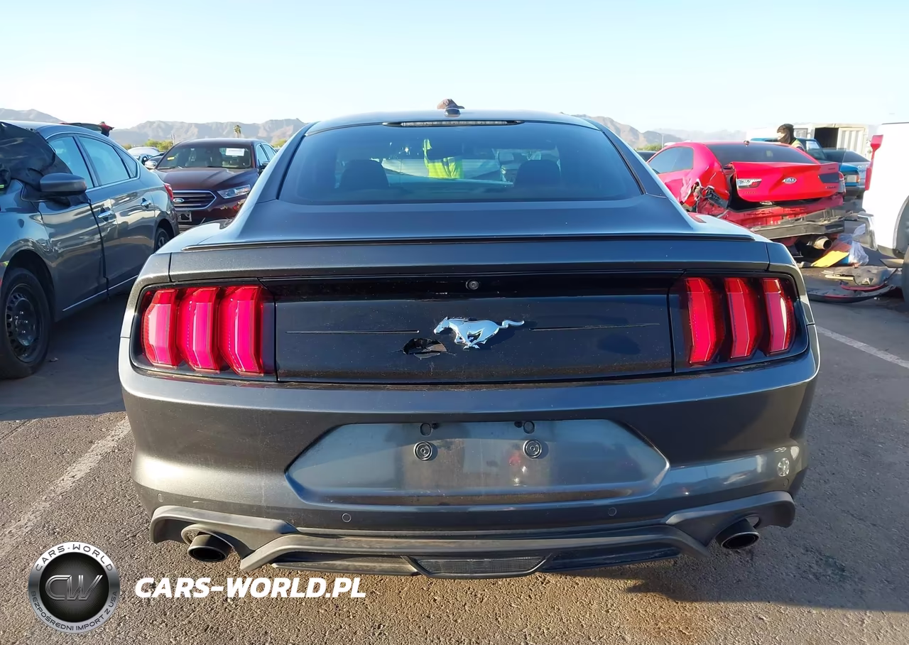 2019 Ford Mustang Ecoboost Premium VIN:1FA6P8TH5K5169383 - 17