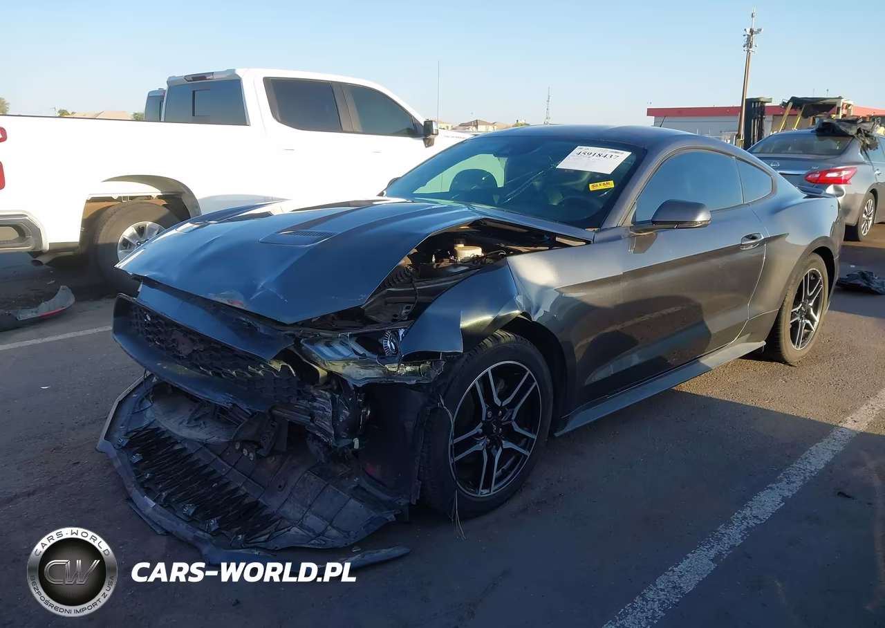 2019 Ford Mustang Ecoboost Premium VIN:1FA6P8TH5K5169383 - 2