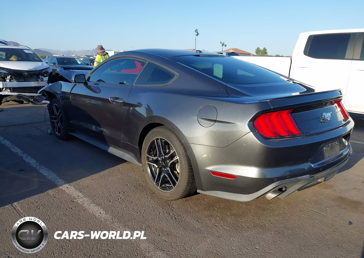 2019 Ford Mustang Ecoboost Premium VIN:1FA6P8TH5K5169383 - 3