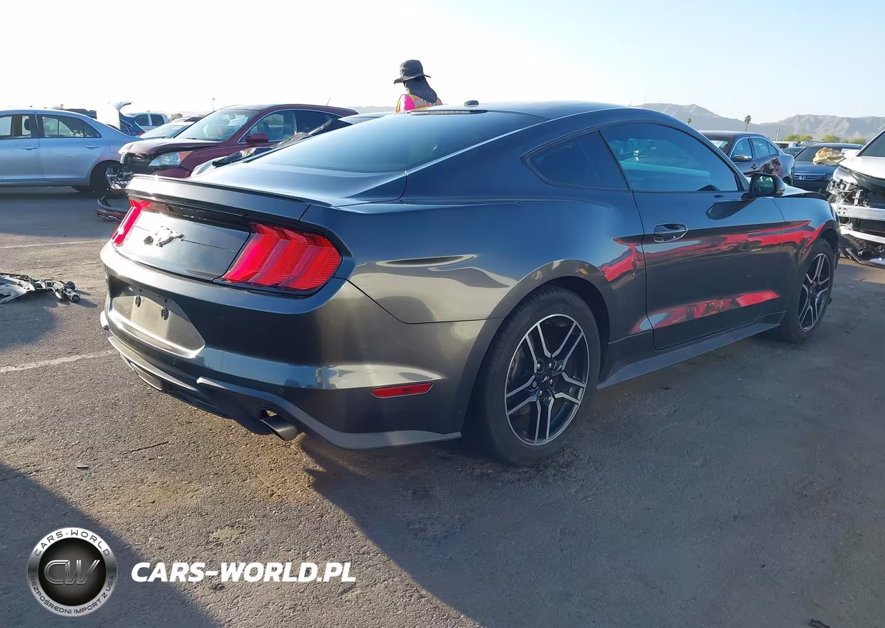 2019 Ford Mustang Ecoboost Premium VIN:1FA6P8TH5K5169383 - 4