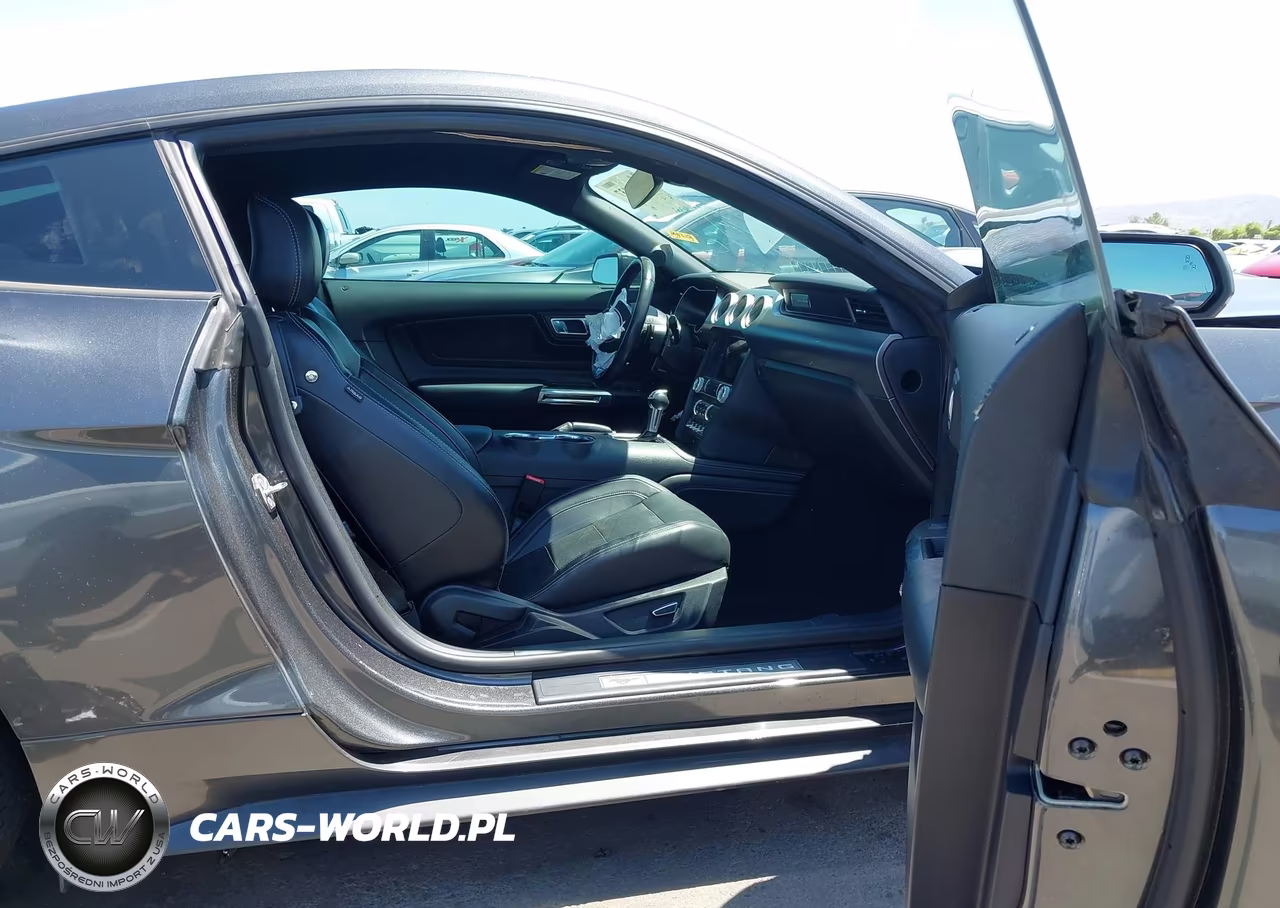 2019 Ford Mustang Ecoboost Premium VIN:1FA6P8TH5K5169383 - 5