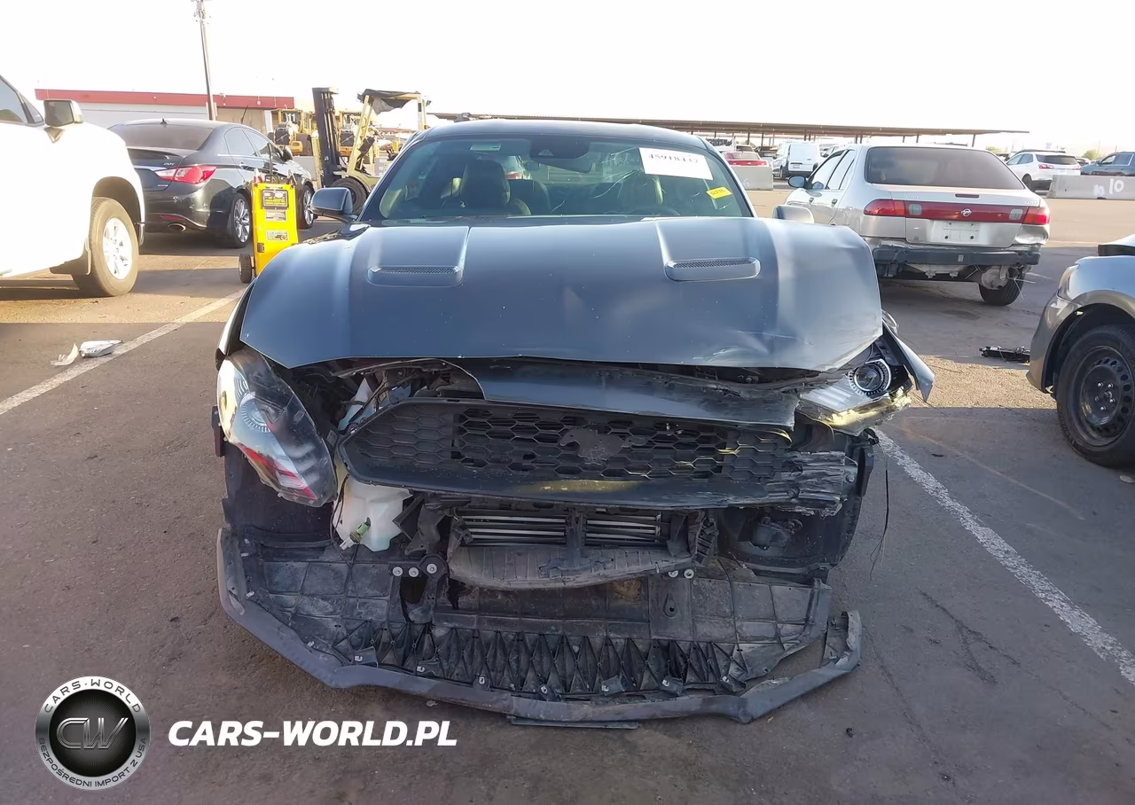 2019 Ford Mustang Ecoboost Premium VIN:1FA6P8TH5K5169383 - 6