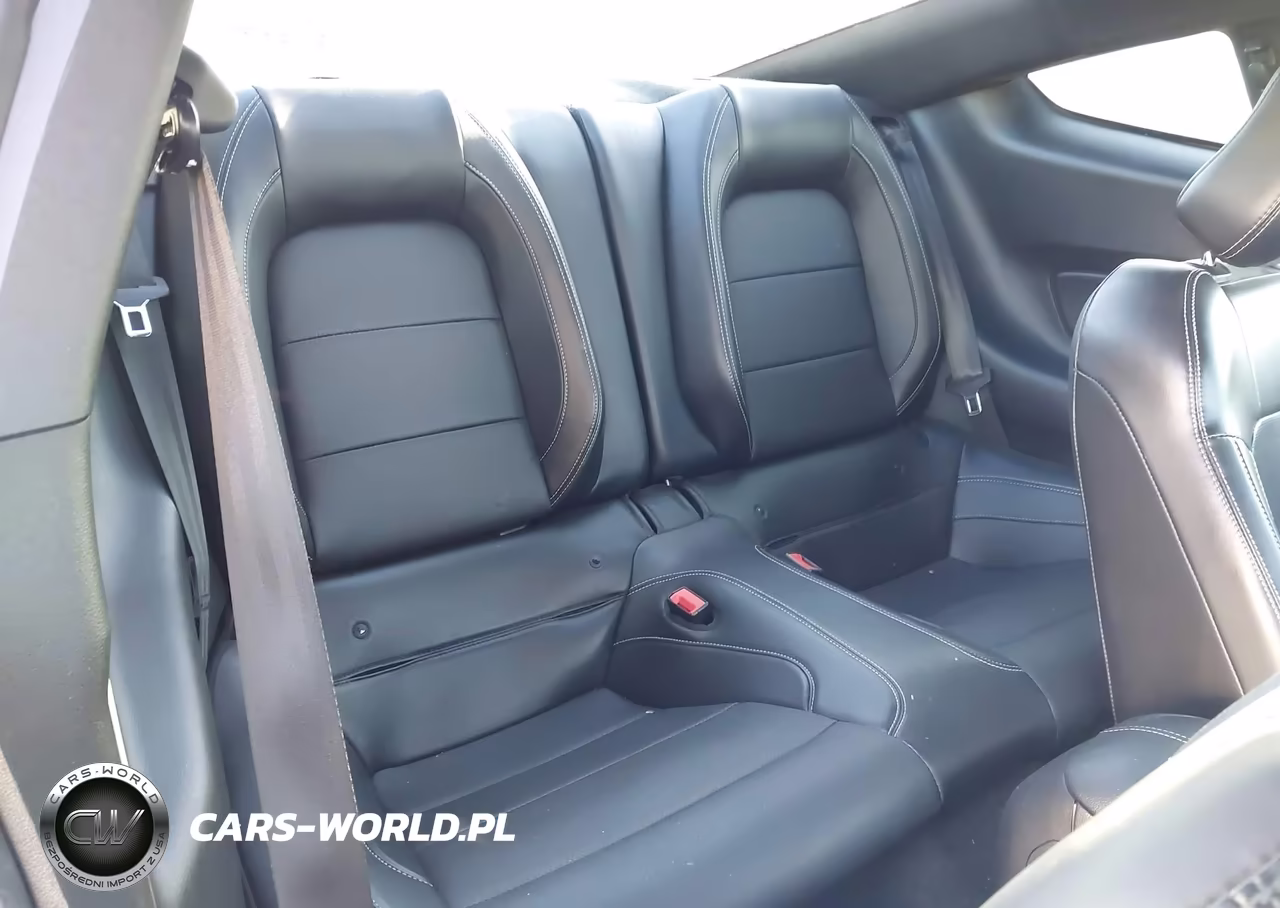 2019 Ford Mustang Ecoboost Premium VIN:1FA6P8TH5K5169383 - 8