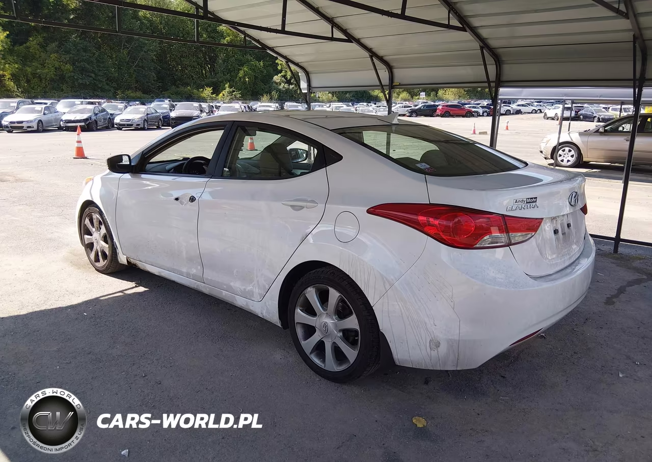 2013 Hyundai Elantra Limited VIN:5NPDH4AE6DH183165 - 3