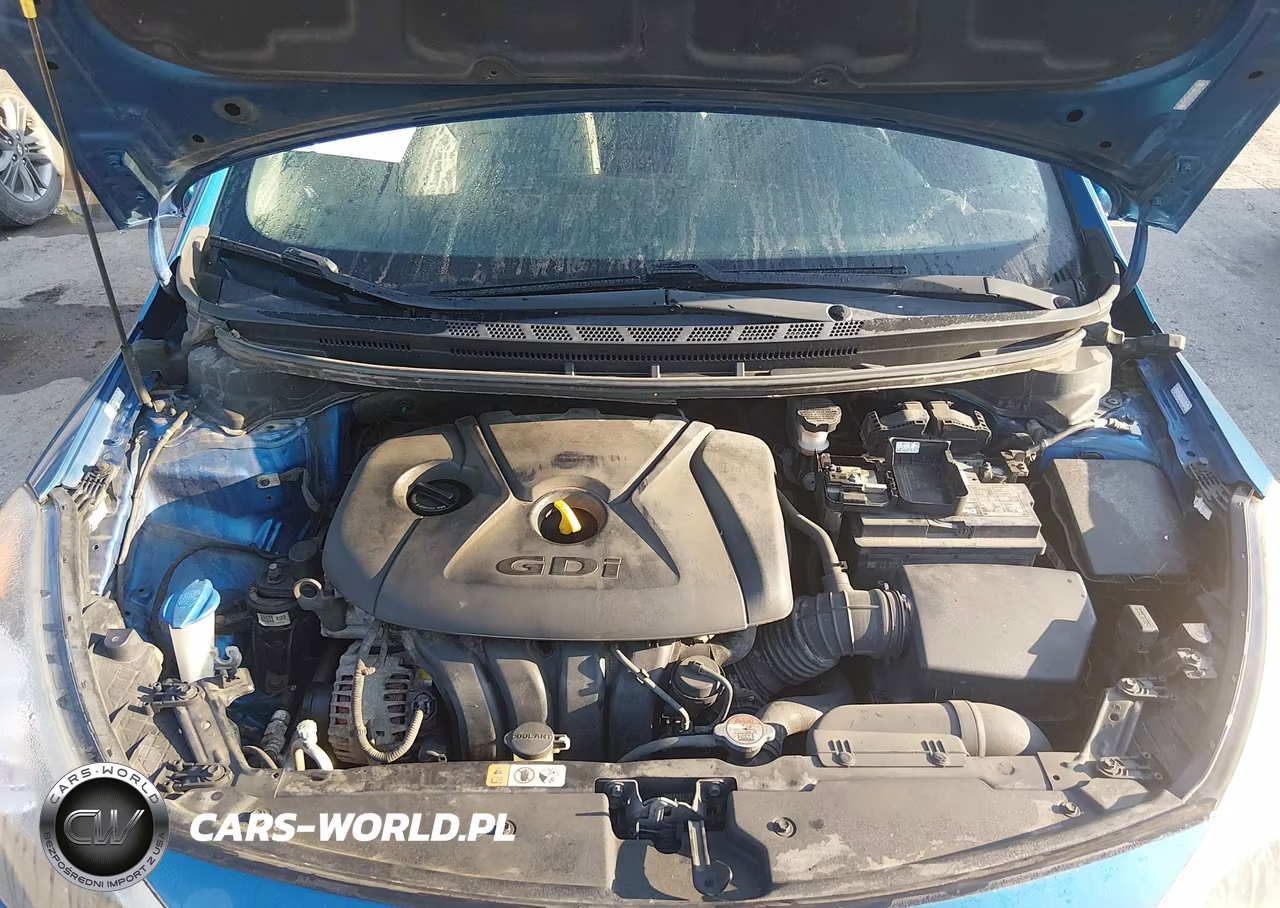 2014 Kia Forte Ex VIN:KNAFZ4A89E5088372 - 10