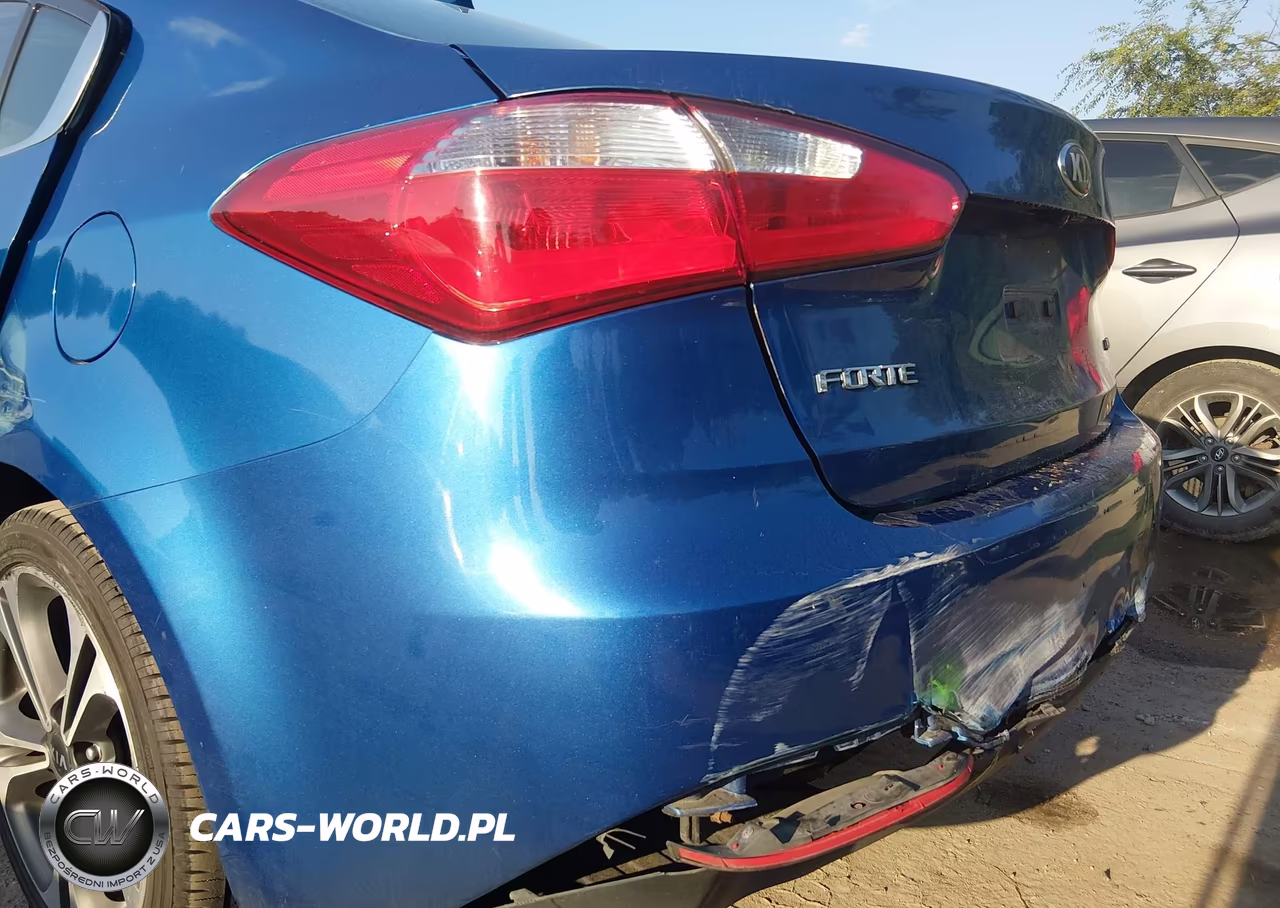 2014 Kia Forte Ex VIN:KNAFZ4A89E5088372 - 13