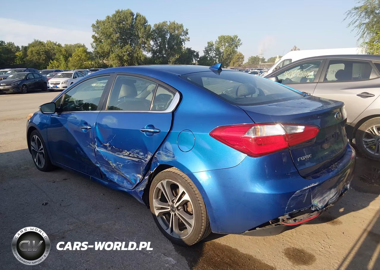 2014 Kia Forte Ex VIN:KNAFZ4A89E5088372 - 3