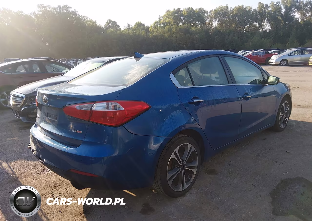 2014 Kia Forte Ex VIN:KNAFZ4A89E5088372 - 4