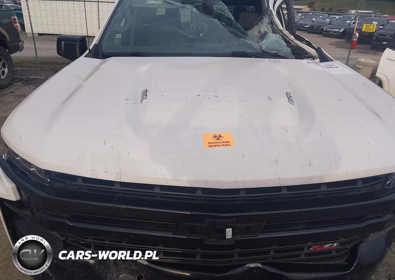 2021 Chevrolet Silverado 1500 4Wd Short Bed Lt Trail Boss VIN:3GCPYFEL8MG361149 - 10