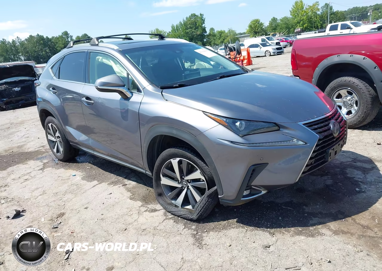 2019 Lexus Nx 300 VIN:JTJBARBZ7K2202960 - 1