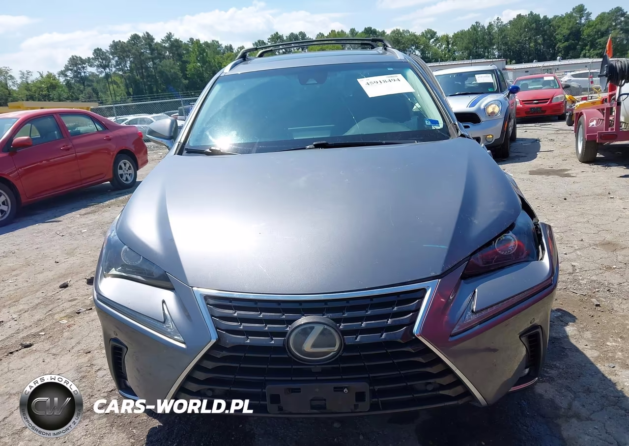 2019 Lexus Nx 300 VIN:JTJBARBZ7K2202960 - 12
