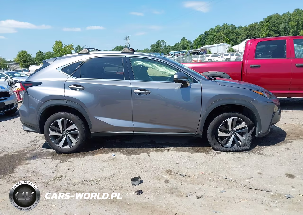 2019 Lexus Nx 300 VIN:JTJBARBZ7K2202960 - 13