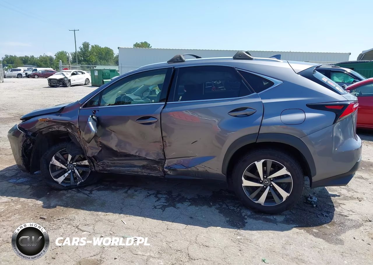 2019 Lexus Nx 300 VIN:JTJBARBZ7K2202960 - 14