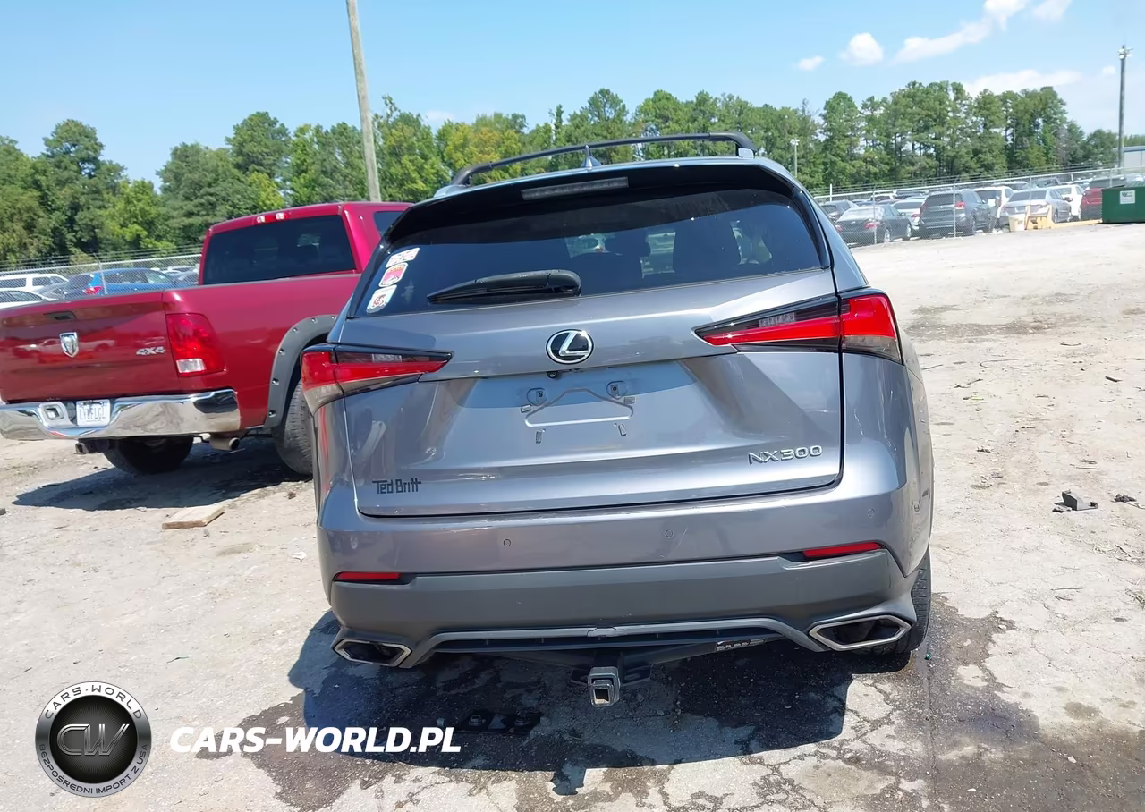2019 Lexus Nx 300 VIN:JTJBARBZ7K2202960 - 16