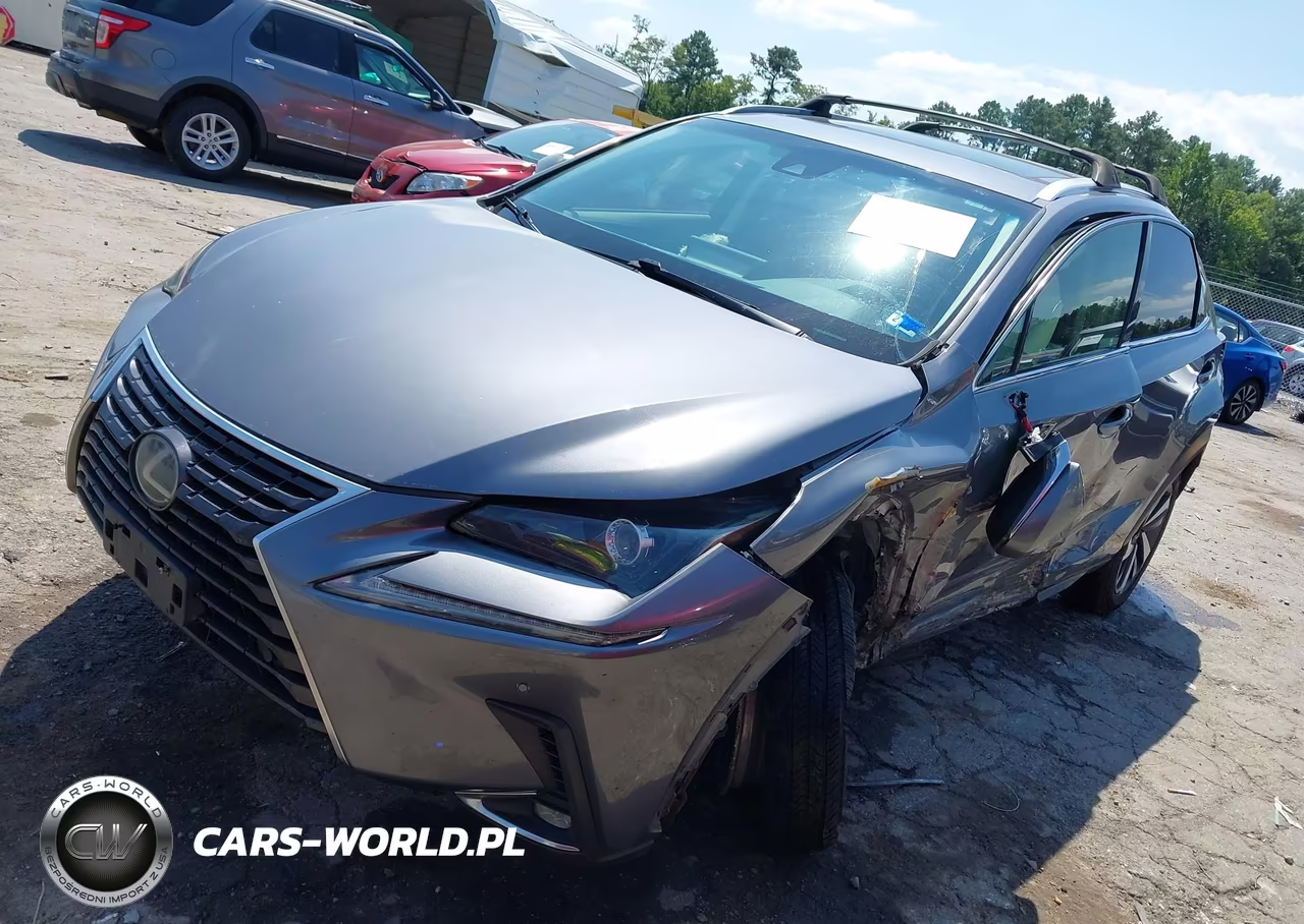 2019 Lexus Nx 300 VIN:JTJBARBZ7K2202960 - 2