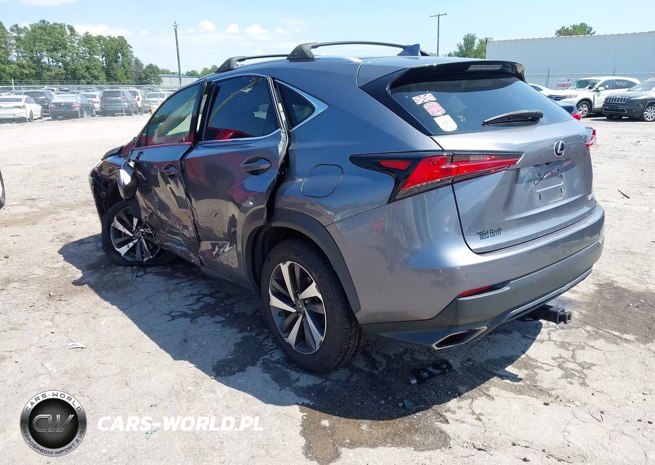 2019 Lexus Nx 300 VIN:JTJBARBZ7K2202960 - 3