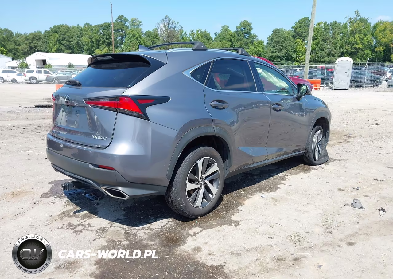 2019 Lexus Nx 300 VIN:JTJBARBZ7K2202960 - 4