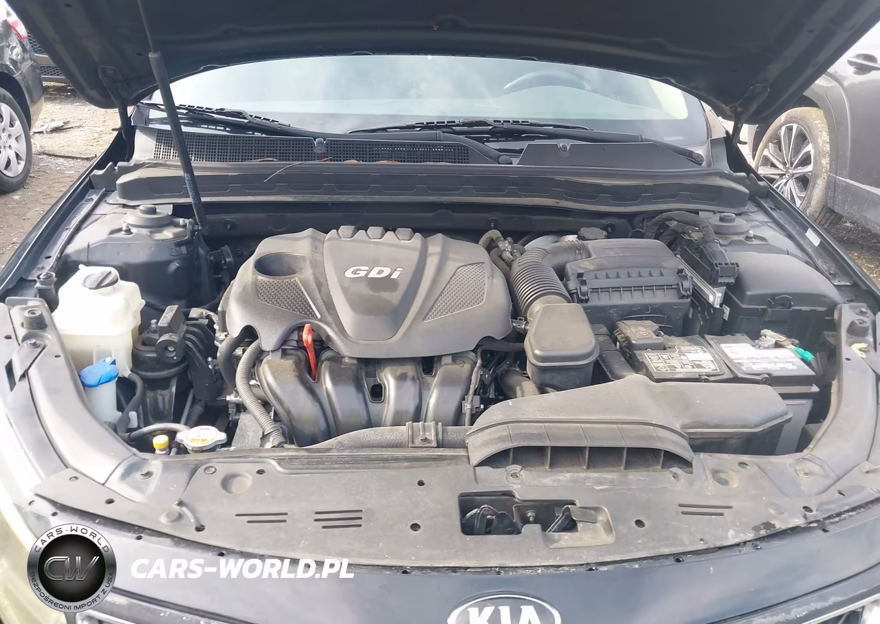 2015 Kia Optima Ex VIN:5XXGN4A77FG501347 - 10