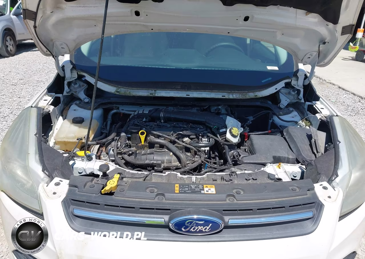 2014 Ford Escape Se VIN:1FMCU0GX8EUE50205 - 10