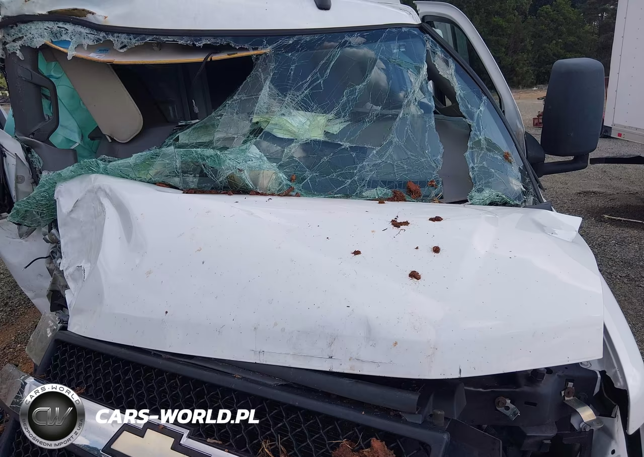 2019 Chevrolet Express Cutaway 4500 VIN:1GB0GRFG4K1368946 - 9