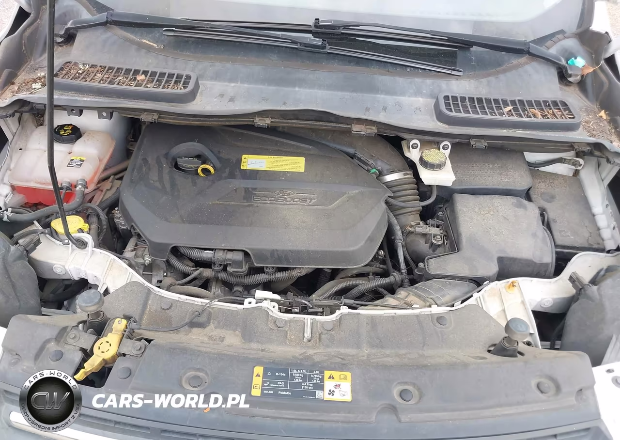 2013 Ford Escape Se VIN:1FMCU0GX8DUC04379 - 10