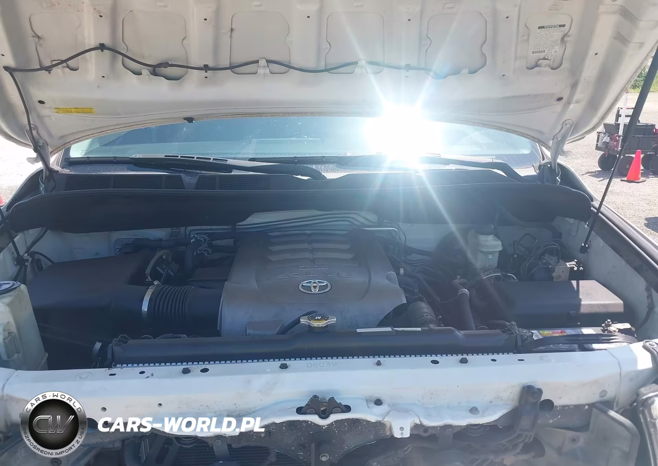 2010 Toyota Sequoia Platinum 5.7L V8 VIN:5TDYY5G12AS028064 - 10