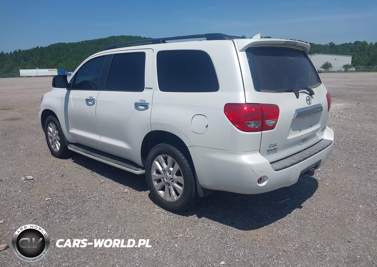 2010 Toyota Sequoia Platinum 5.7L V8 VIN:5TDYY5G12AS028064 - 3