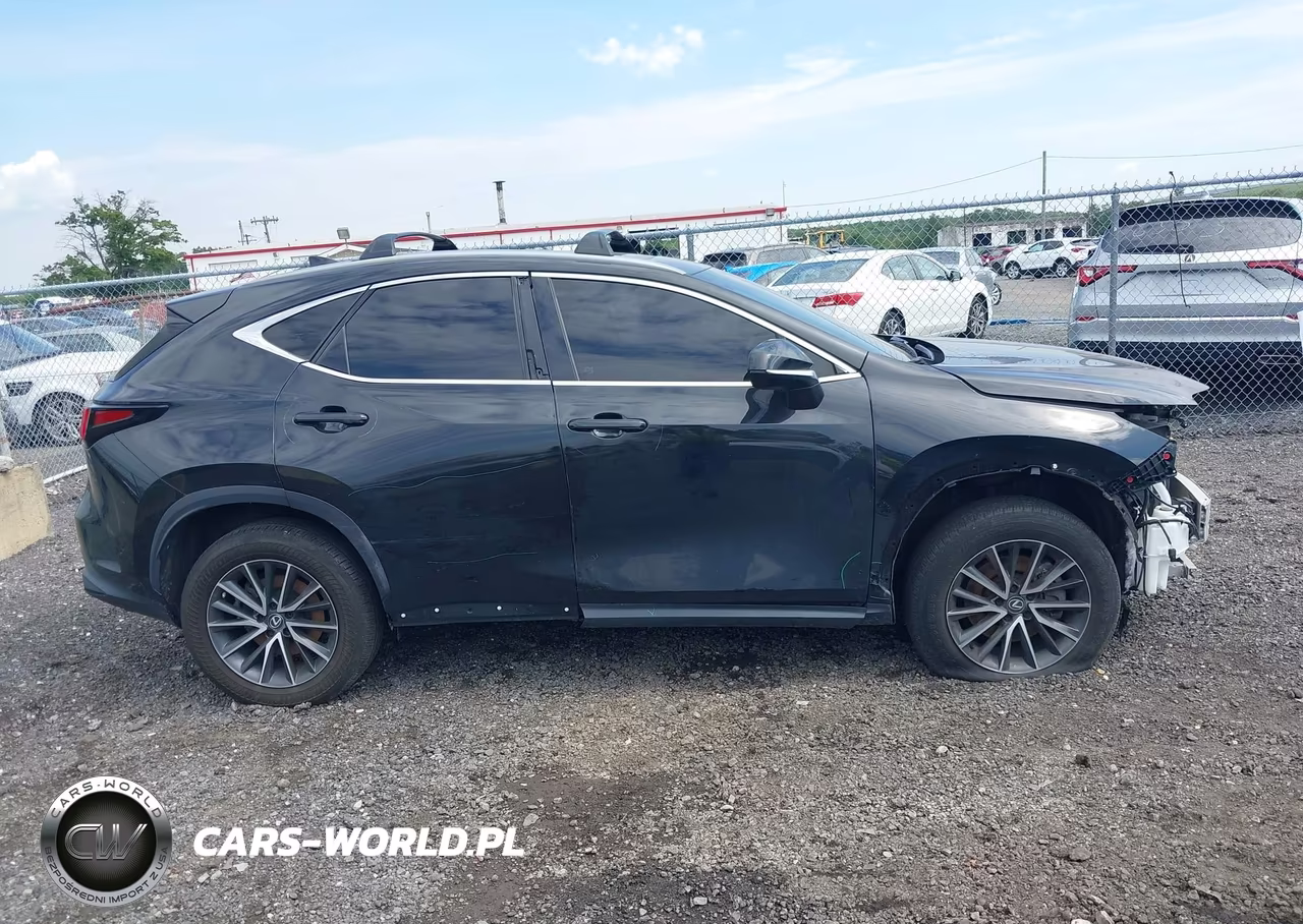 2023 Lexus Nx 350 Premium VIN:2T2GGCEZ0PC028914 - 13