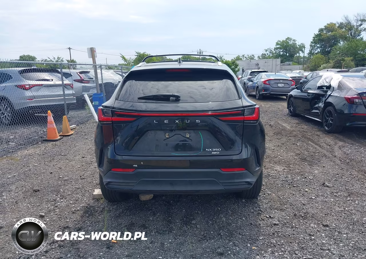 2023 Lexus Nx 350 Premium VIN:2T2GGCEZ0PC028914 - 16