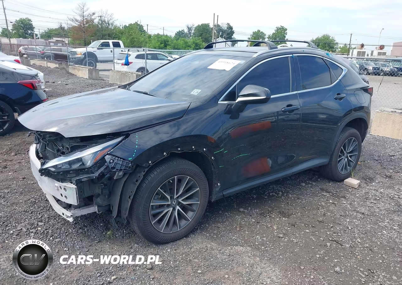 2023 Lexus Nx 350 Premium VIN:2T2GGCEZ0PC028914 - 2