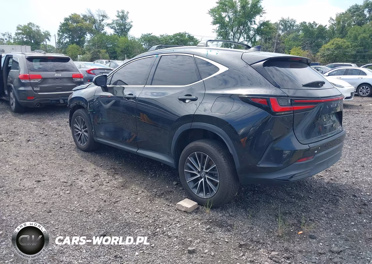 2023 Lexus Nx 350 Premium VIN:2T2GGCEZ0PC028914 - 3