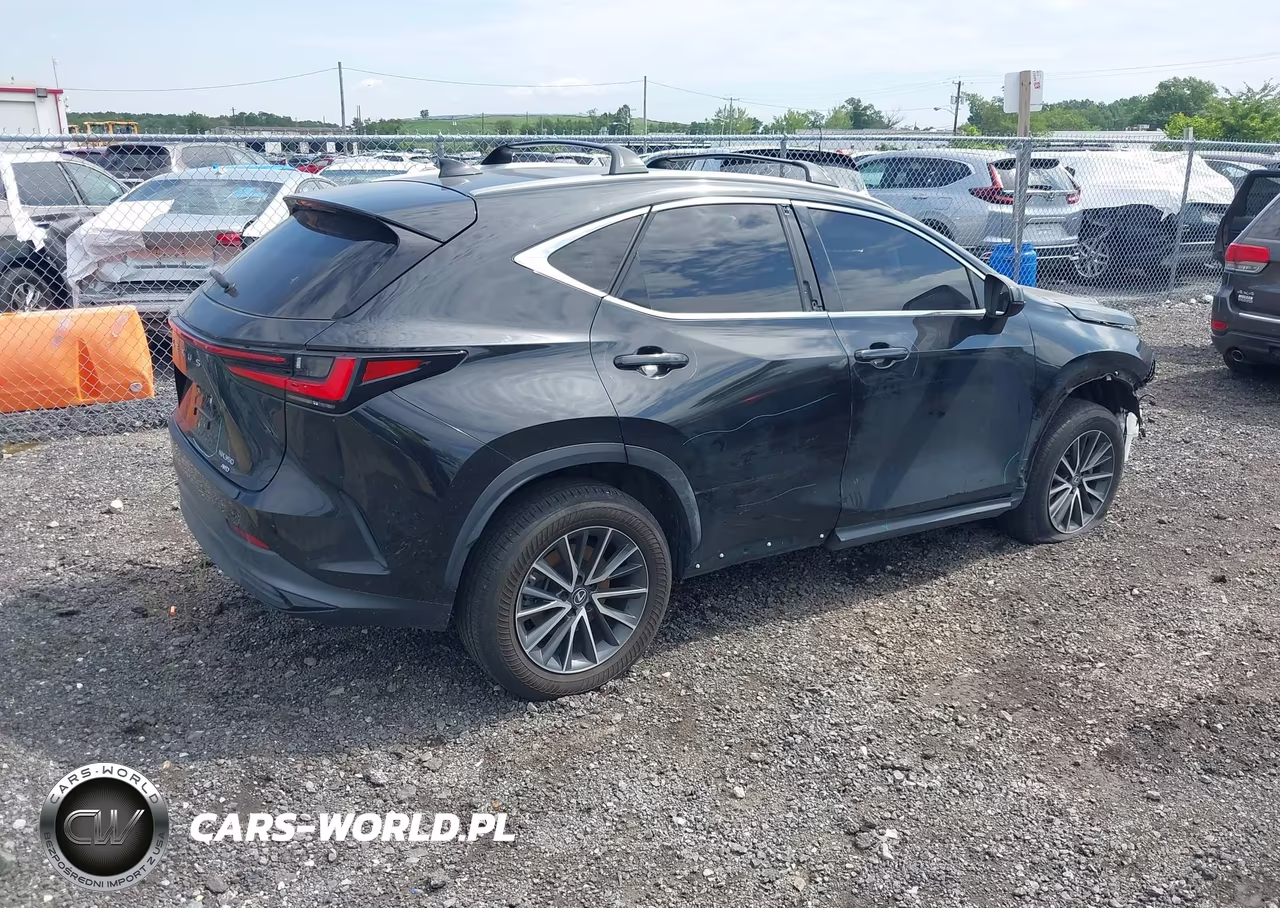2023 Lexus Nx 350 Premium VIN:2T2GGCEZ0PC028914 - 4