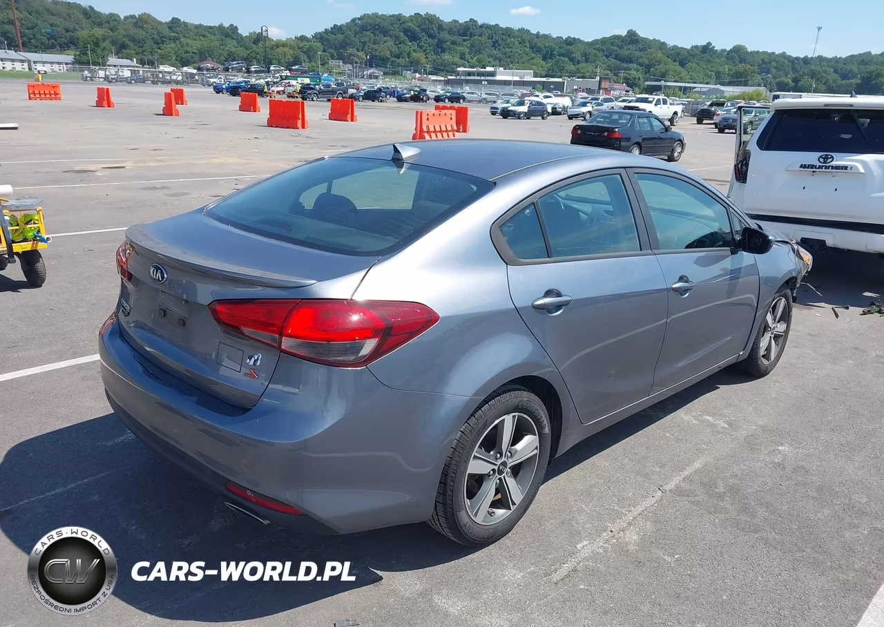 2018 Kia Forte S VIN:3KPFL4A71JE249601 - 4