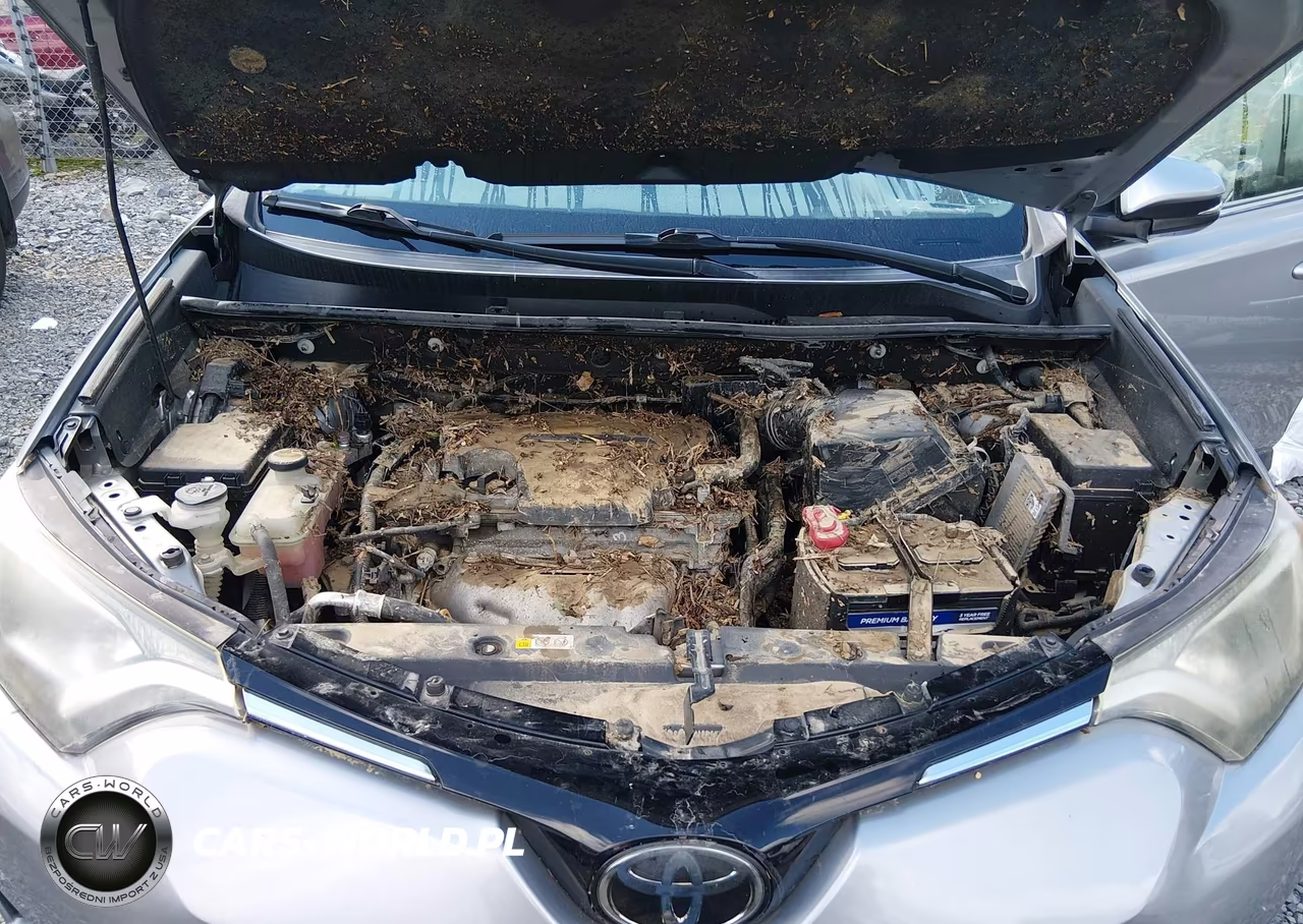 2018 Toyota Rav4 Xle VIN:2T3RFREV5JW709633 - 10