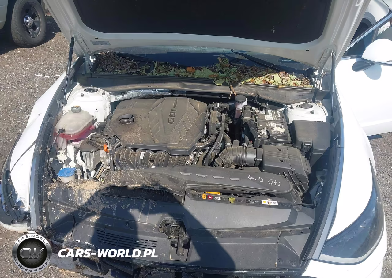2023 Hyundai Sonata Sel VIN:KMHL64JA7PA259689 - 10