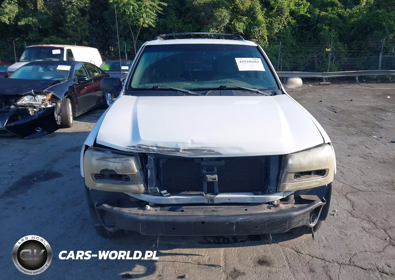 2002 Chevrolet Trailblazer Ls VIN:1GNDS13S822364342 - 12