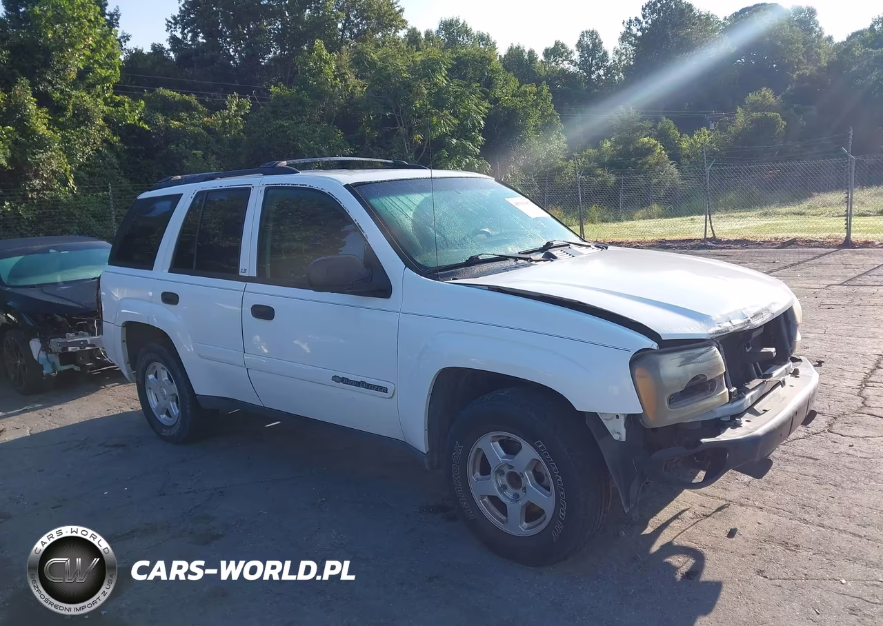 2002 Chevrolet Trailblazer Ls VIN:1GNDS13S822364342 - 13
