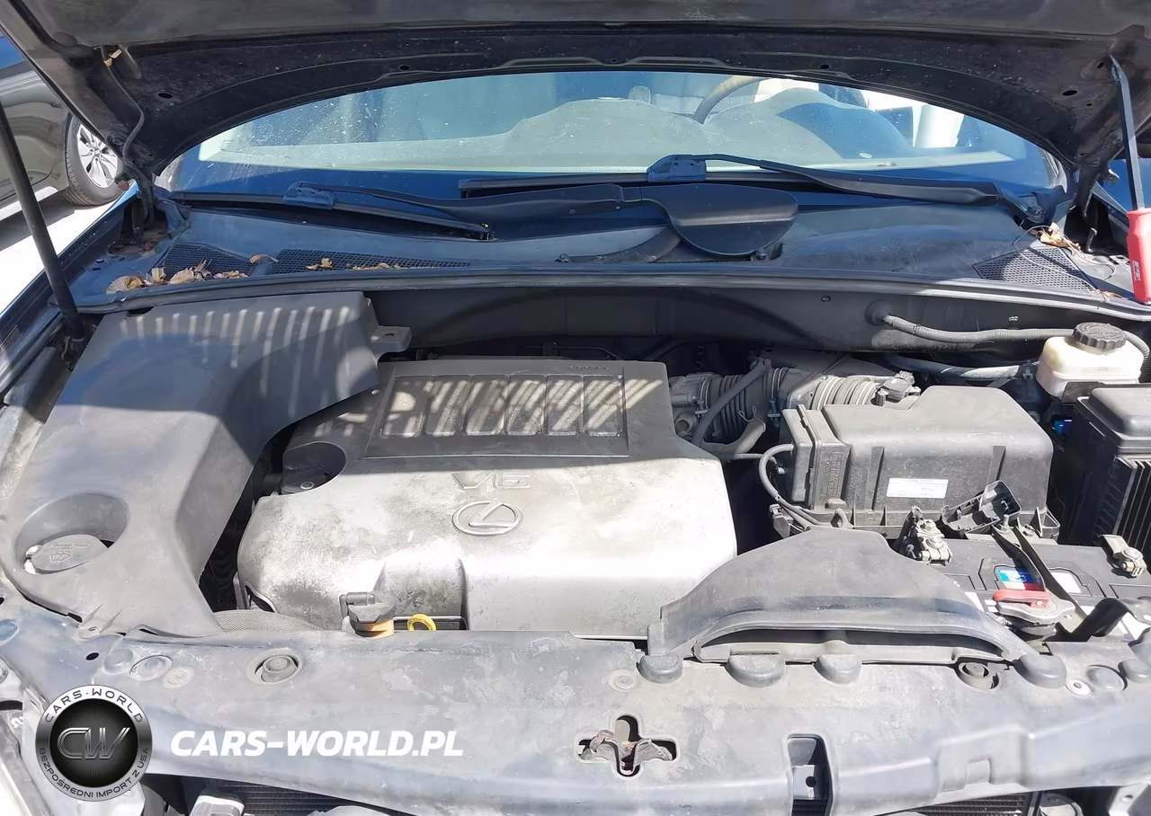 2007 Lexus Rx 350 VIN:2T2GK31U87C015000 - 10