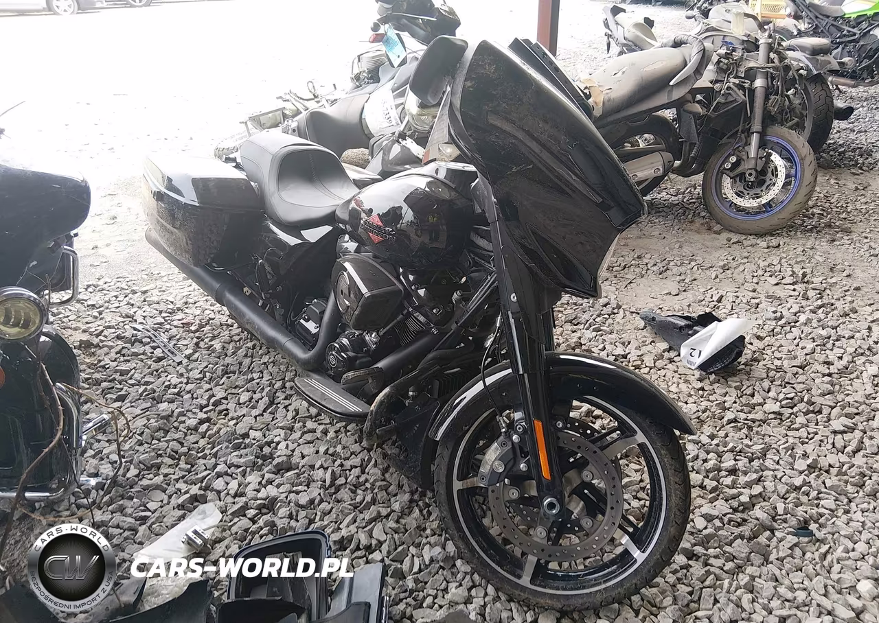 2025 Harley-Davidson Flhx